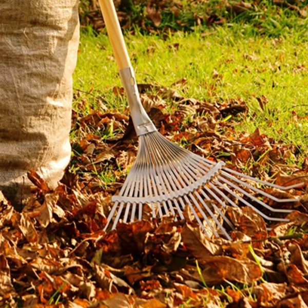 Клининговые услуги для бизнеса в Казахстане